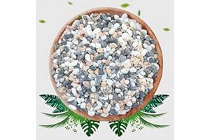 PUSCRIENO Natural Mixed Color Pea Gravel Pebbles, 10lbs (1/5 Inch) Decorative Stones for Succulents, Indoor Plants, Vases, Aquariums, Top Dressing, and Outdoor Landscaping