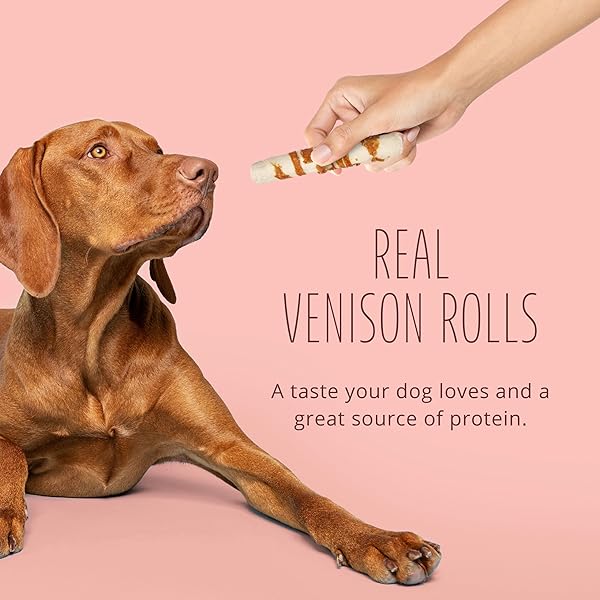 BETTER BELLY PROTEINS WITH REAL VENISON LARGE ROLLS 3 COUNT, DIGESTIBLE RAWHIDE FOR DOGS, 12.1 OUNCE (PACK OF 1)