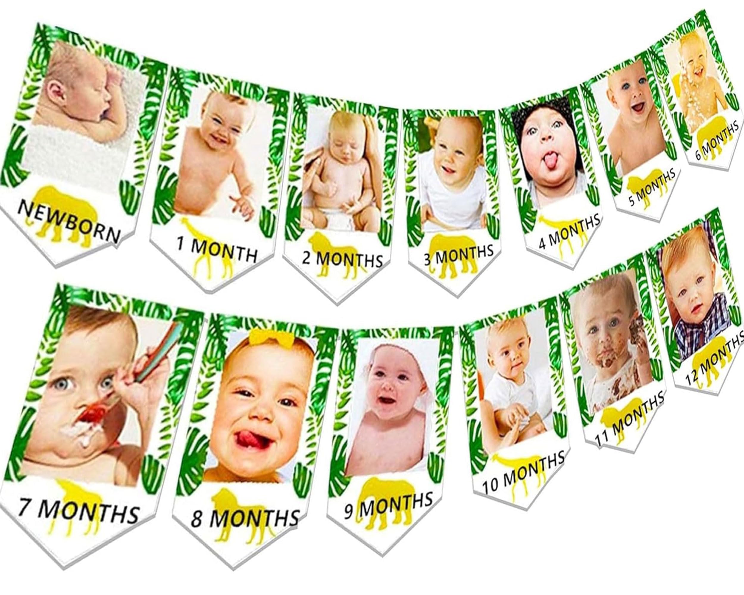 JeVenis Jungle Gold Monthly Photo Banner Wild One Monthly Photo Banner Safari First Birthday Decor Monthly Photo Decoration Zoo Jungle Decoration