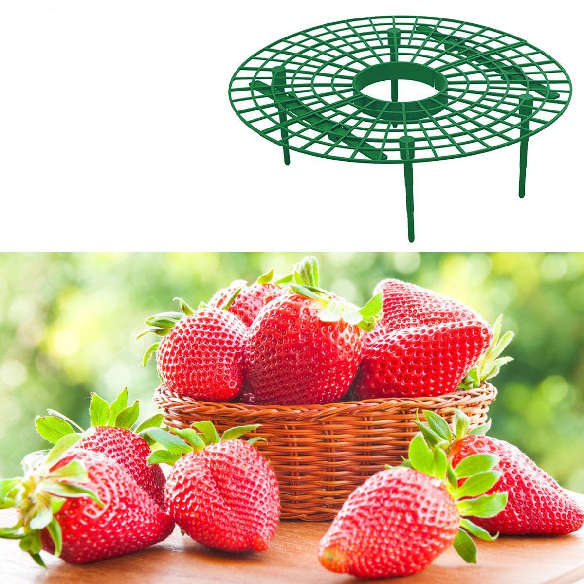 lulalula Soporte para Plantas con 4 Patas robustas para Mantener ...
