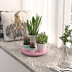 9" Oak Wood Decorative Tray for Home Decor, Tray