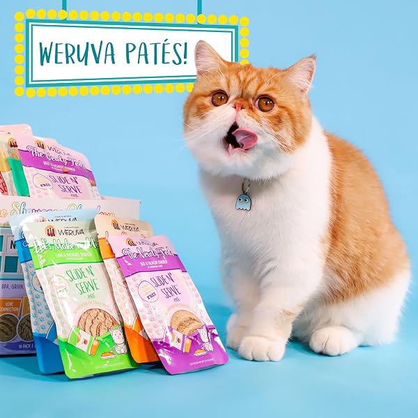 WERUVA SLIDE N’ SERVE PATÉ WET CAT FOOD, JEOPURRDY LICIOUS CHICKEN DINNER, 2.8OZ POUCH (PACK OF 12)