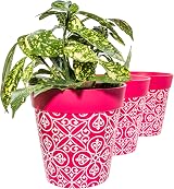 Hum Flowerpots 22cm Set of 3 Pink Maroc Plastic Plant Pots Indoor Outdoor view 7