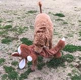 Happy Pet Unstuffed Plush Rabbit 60 cm - 1 piece view 2