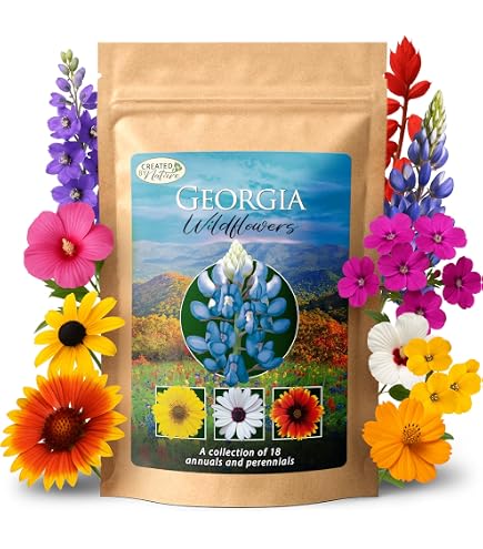 sand for potting mix Mount Desert Island Blend™ Organic Cactus & Succulent Mix – Coast of Maine  Organic Products main image 0