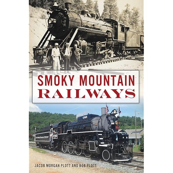 American Railroads: Stover, John F.: 9780226776545: Amazon.com: Books