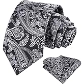 Alizeal Mens 3.15inches Vintage Paisley Tie with Pocket Square Set