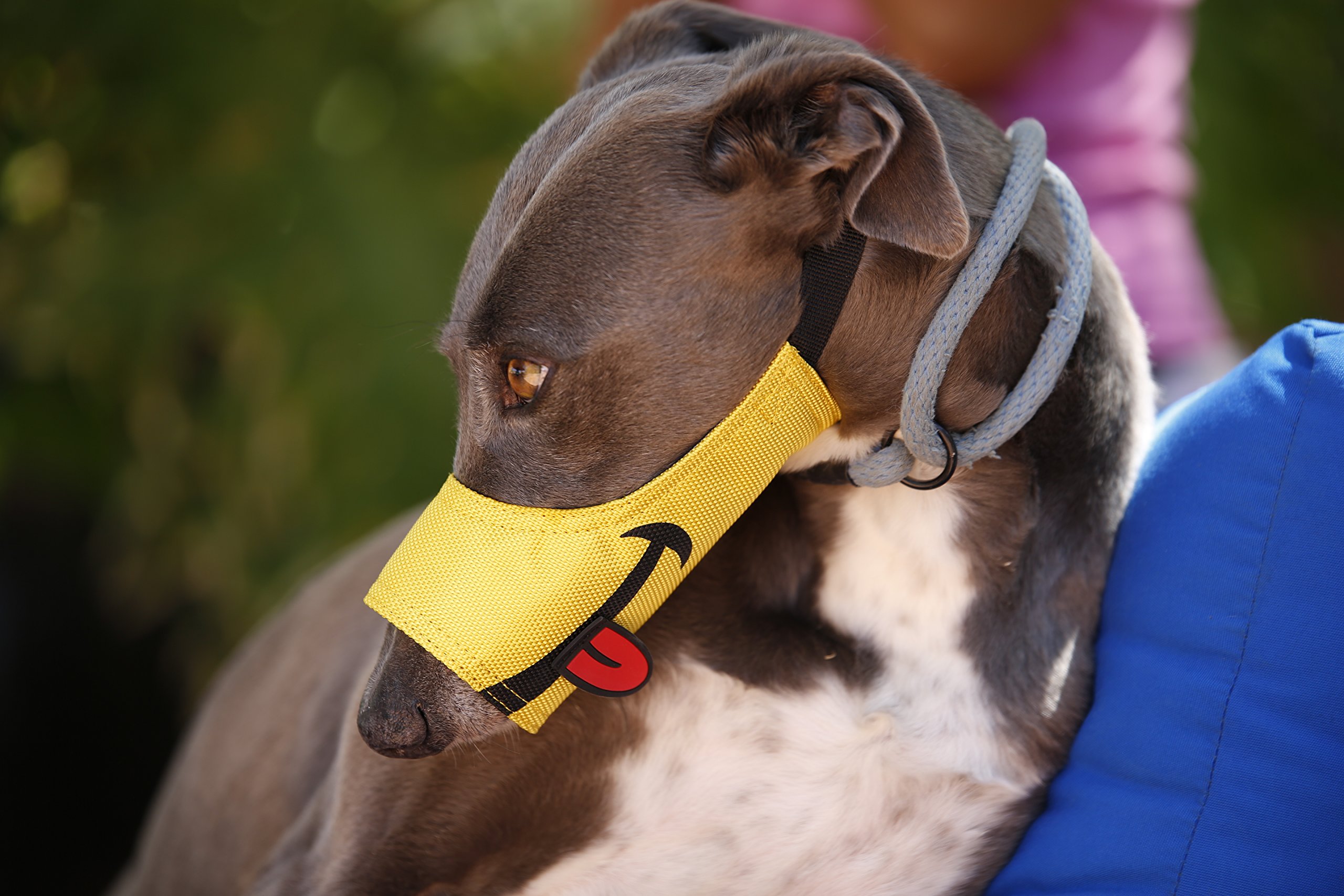 Photo 1 of Cesar Millan Funny Muzzle, Smile, Size 3, Yellow