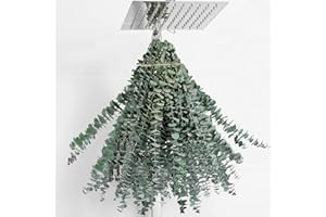 FAVOWREATH 20 Pcs Eucalyptus for Shower Hanging Dried Eucalyptus Stems 17" Real Eucalyptus 100% Made from Fresh Eucalyptus Leaves,Wedding Decor Home Decor Farmhouse Decor DIY Spring Decor,Green