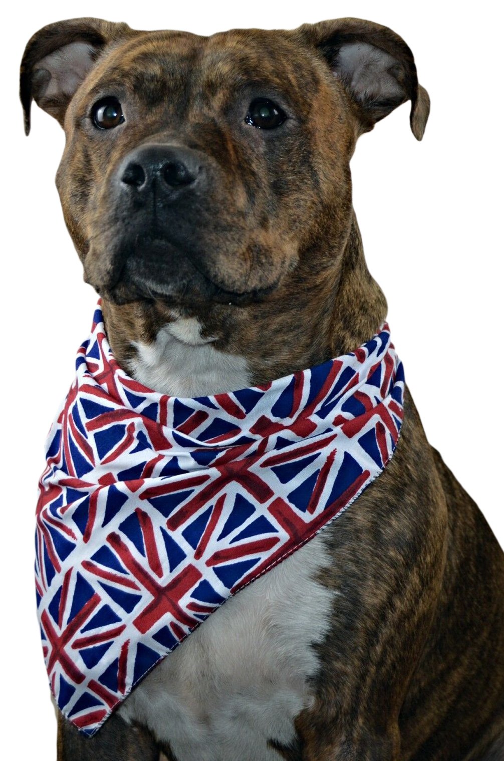 Pet Pooch Boutique Union Jack Bandana for Dog, X-Small/Small — image 1