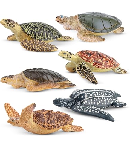 Juego De 4 Figuras Del Ciclo De Vida De La Tortuga Marina – Modelos Educativos De Plástico Suave: Huevo, Larva, Juvenil Y Adulto, Ideales Para Proyectos Escolares Y Regalos Creativos