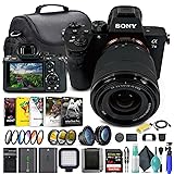 Sony Alpha a7 III Mirrorless Digital Camera with