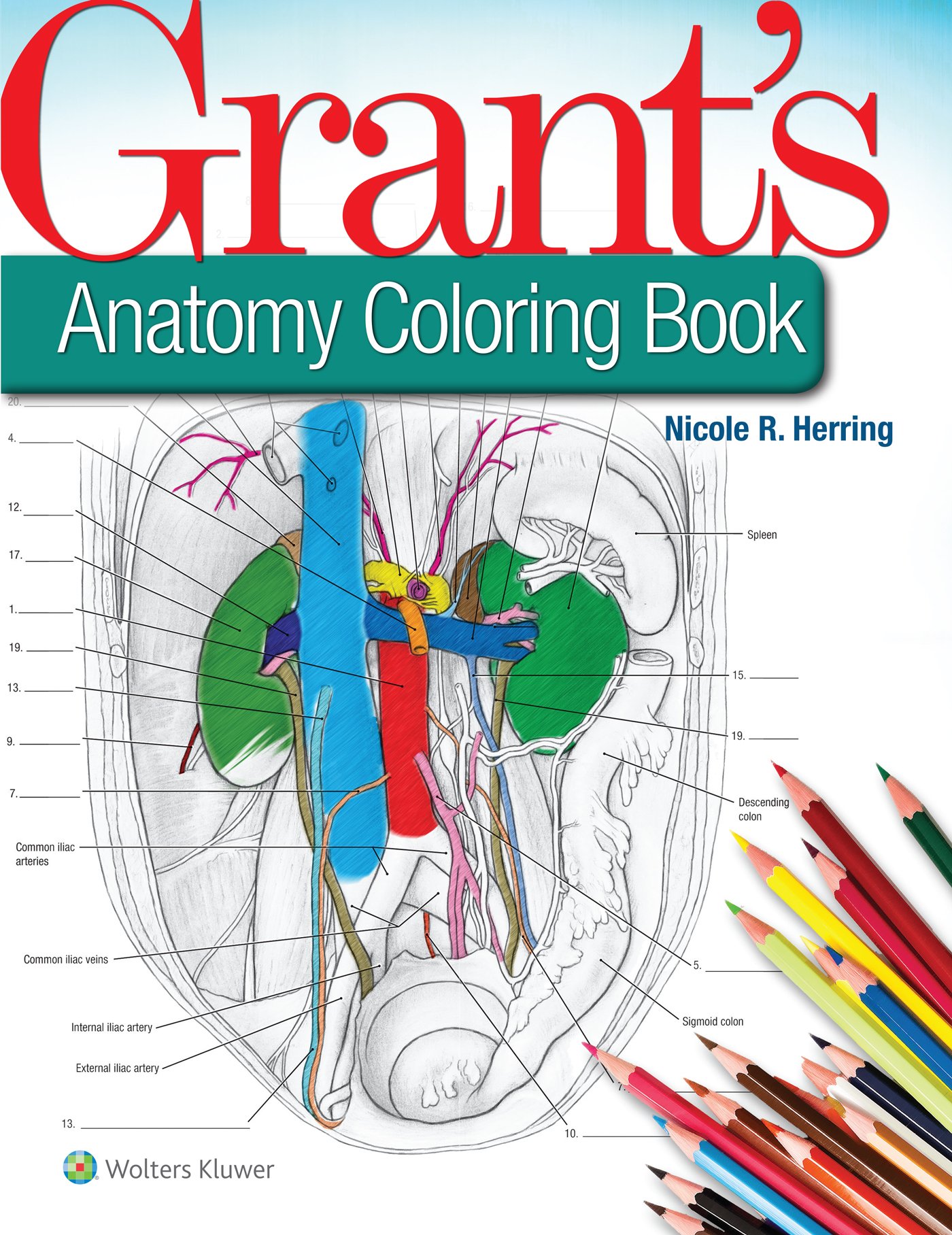 Grant S Anatomy Coloring Book Kindle Edition By Herring Nicole R Professional Technical Kindle Ebooks Amazon Com Grant S Anatomy Coloring Book Kindle Edition By Herring Nicole R Professional Technical Kindle Ebooks Amazon Com