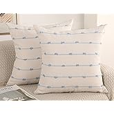 NUYECY Set of 2 Boho Throw Pillow Covers 22x22,Light Blue and White Neutral Couch Pillow Case with Tassel Fringe Decorative,Modern Accent Farmhouse Cushion Covers for Sofa Couch Bed Living Room