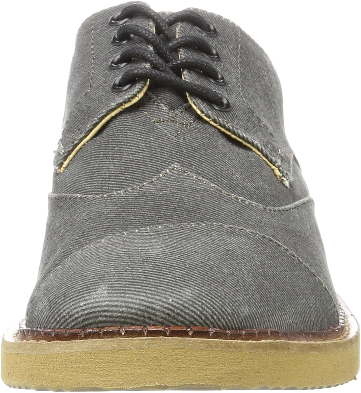 toms ash aviator twill men's brogues