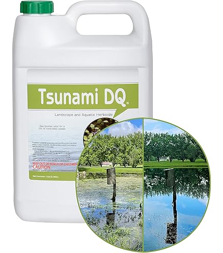 Amazon.com : Sonar A.S. Liquid Aquatic Herbicide 1 Quart Systemic Treatment  for Duckweed, Watermeal, Hydrilla, and Invasive Pond Weeds, EPA Approved,  Safe for Fish and Wildlife, Long-Lasting DIY Pond Solution : Patio,