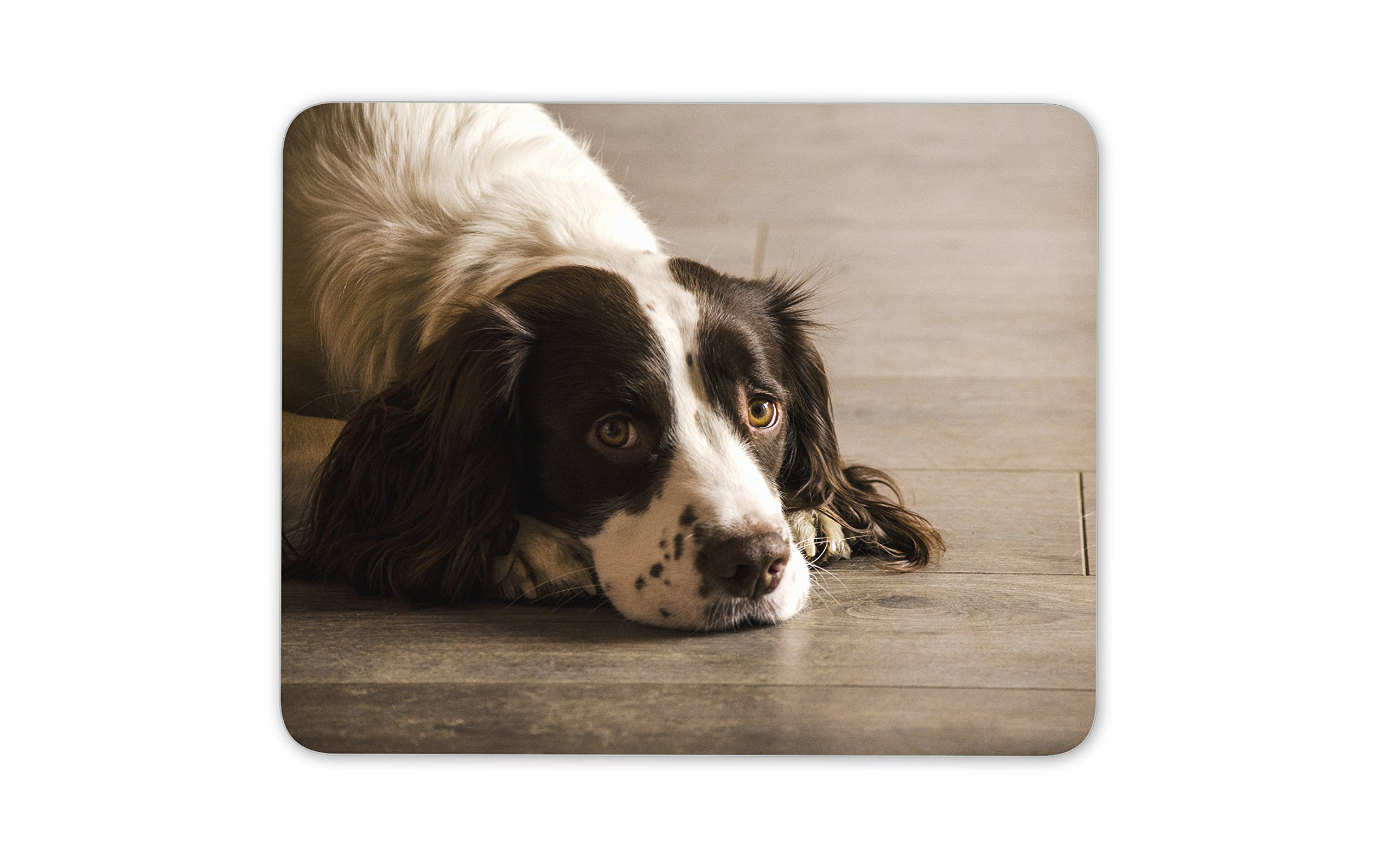 Destination Vinyl Ltd Beautiful Springer Spaniel Dog Mouse Mat Pad - Puppy Dogs PC Computer #8725
