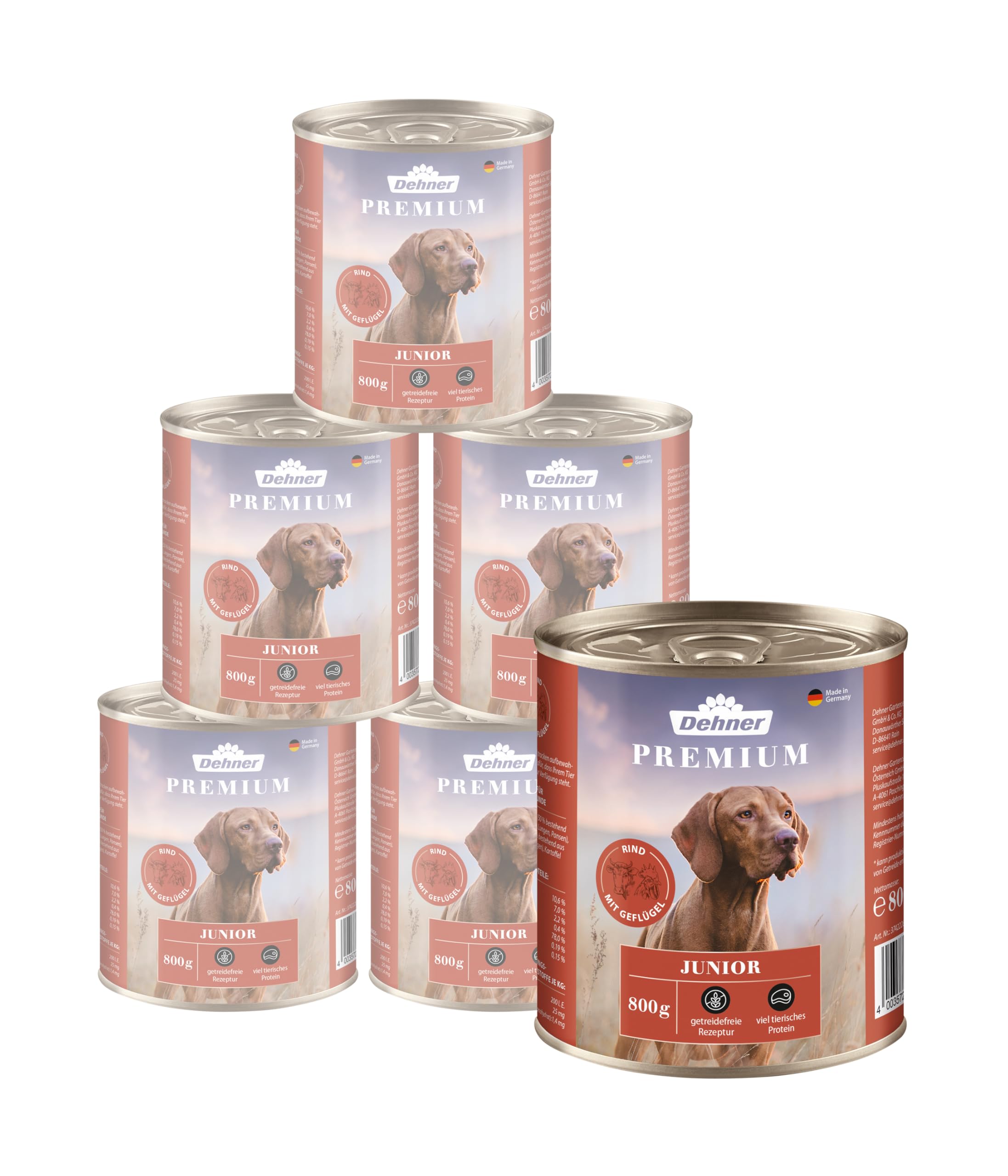 Dehner Premium Dog Food Junior Beef, Poultry and Potato, 6 x 800 g (4.8 kg)