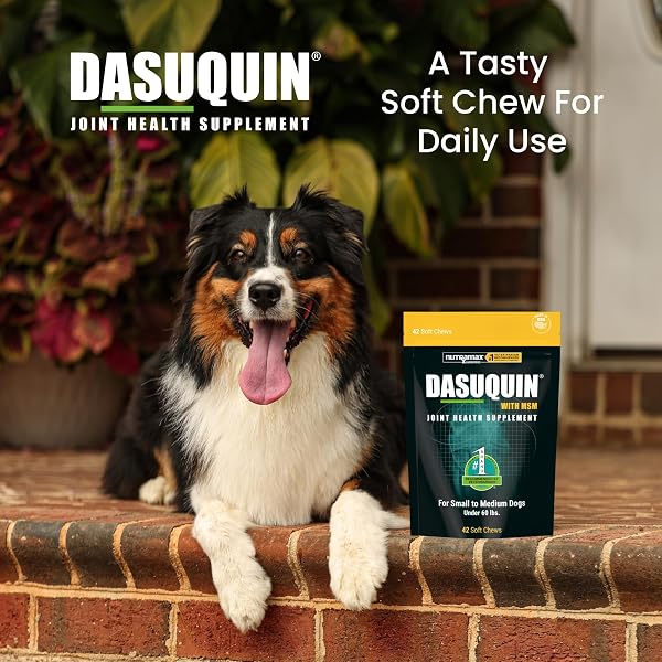 NUTRAMAX DASUQUIN FOR SMALL TO MEDIUM DOGS, JOINT HEALTH SUPPLEMENT, CONTAINS GLUCOSAMINE FOR DOGS, PLUS CHONDROITIN, ASU, MSM AND MORE, SUPPORTS HEALTHY JOINTS, SOFT CHEWS, 42 COUNT