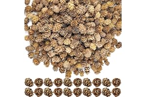 TIHOOD 160PCS 1.18"-1.97" Christmas Natural Mini Pine Cones-Thanksgiving Pine Cones Ornaments for DIY Crafts, Home Decorations,Fall and Christmas,Wedding Decor