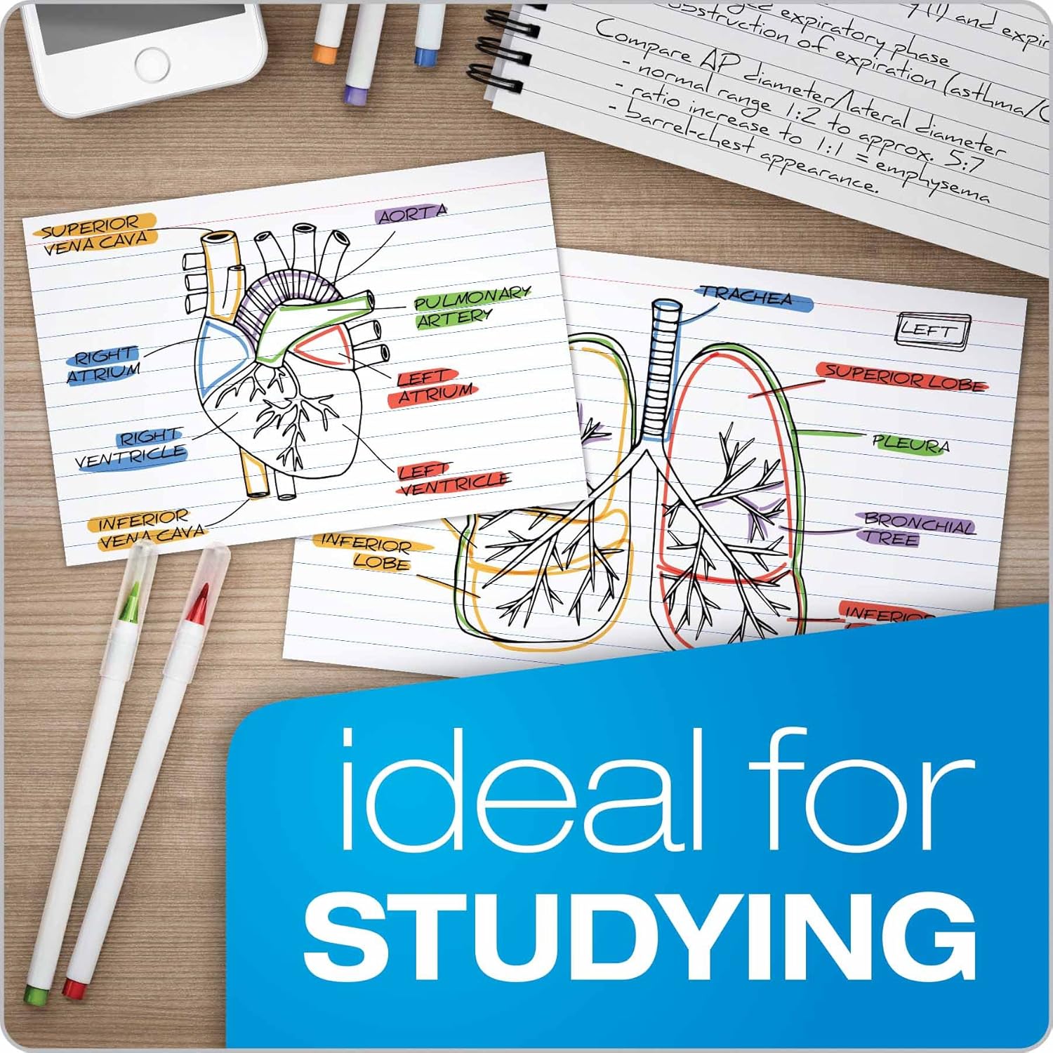 Oxford Ruled Index Cards, 3" x 5", White, 1,000 Cards (10 Packs of 100) (31): Office Products