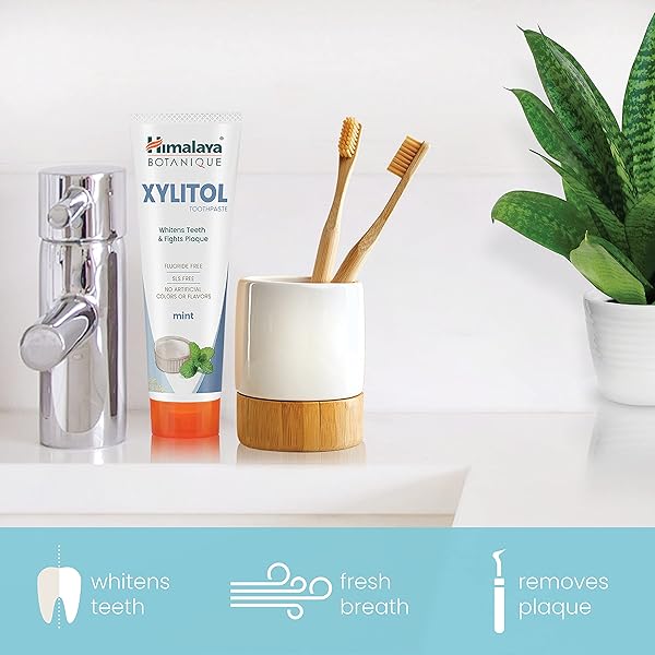 HIMALAYA BOTANIQUE WHITENING ANTIPLAQUE TOOTHPASTE WITH XYLITOL, FLUORIDE FREE, FOR PLAQUE REDUCTION & GENTLE WHITENING, 4 OZ