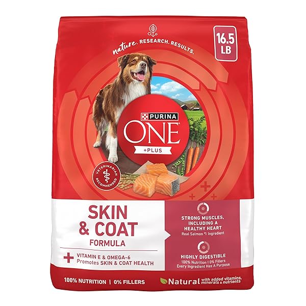 PURINA ONE NATURAL, SENSITIVE STOMACH DRY DOG FOOD,...