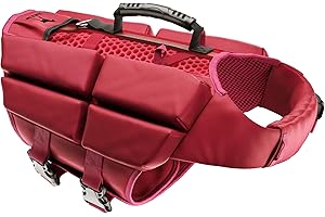 NOAH & PAW Dog Life Jacket, Human Standards Lifejacket Design, Dog Life Vest for Swimming and Boating, 3X Foam Support for Max Floating, Breathable Mesh, Salvavidas para Perros, Size L