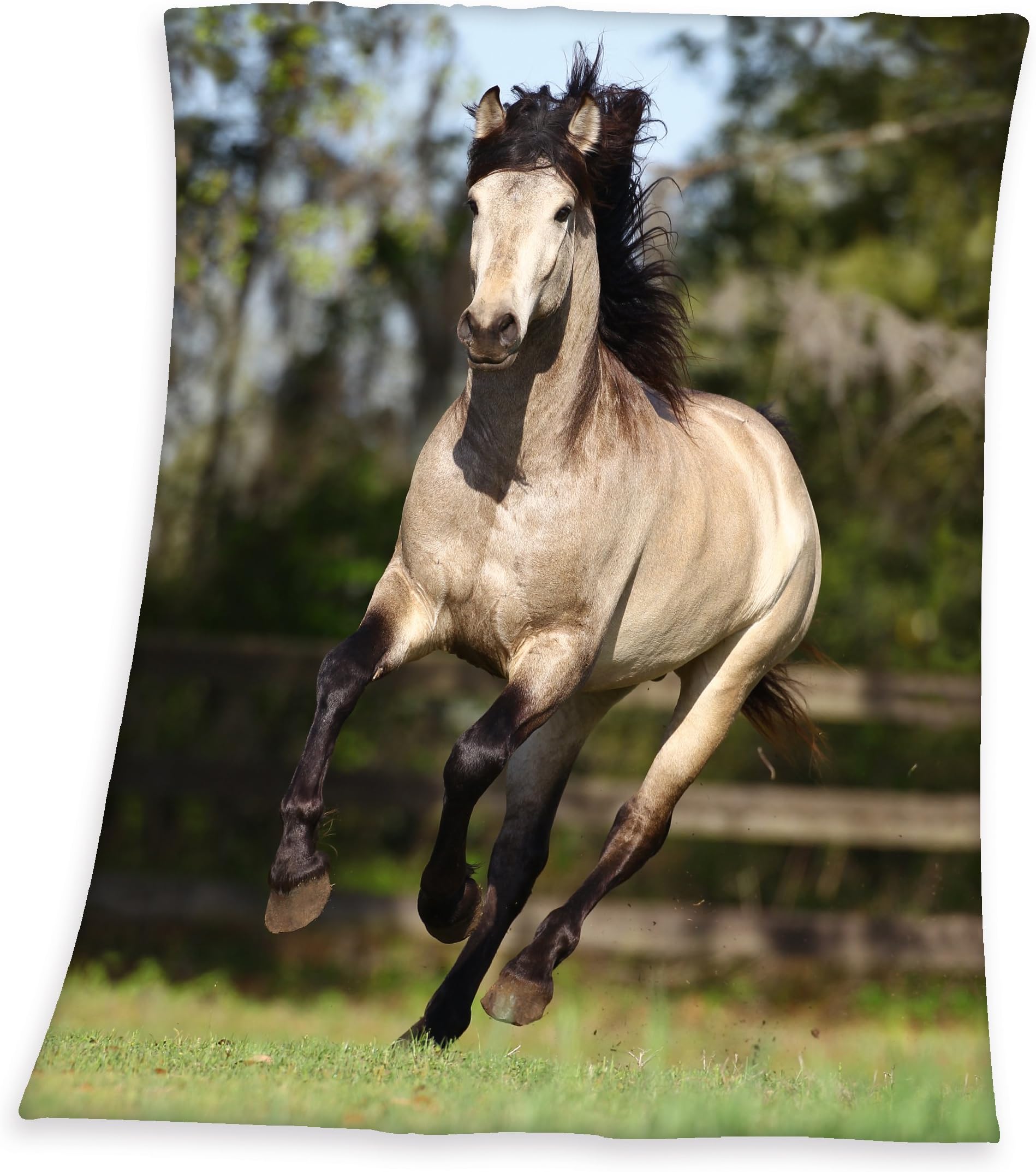 Young Collection Fleece Blanket, Multicoloured