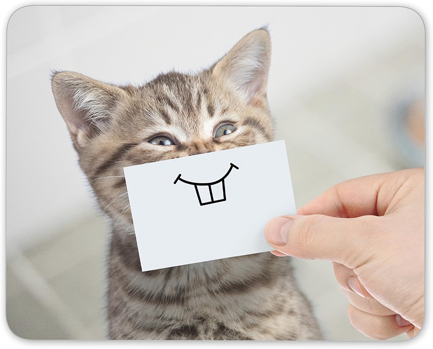 Destination Vinyl Ltd Funny Cute Kitten Mouse Mat Pad - Office Mum Sister Auntie Computer #13285, Multicolor
