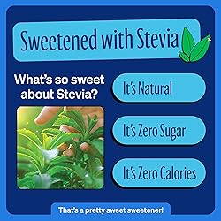 Zevia Zero Sugar Soda, Cola, 12 oz Cans
