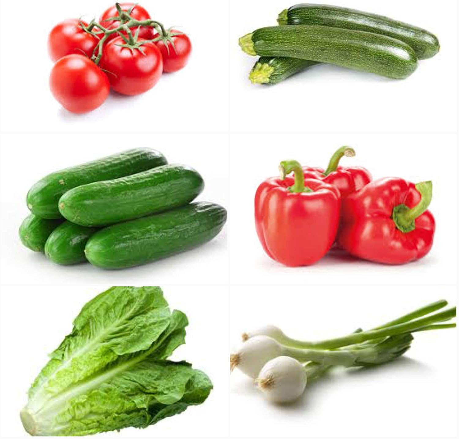 Semillas de huerto, lote de 6 sobres: Amazon.es: Jardín