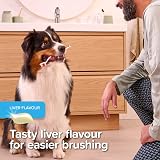 Beaphar Liver Flavour Toothpaste with Enzymes for Cats & Dogs 100g view 6