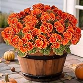 Ammyoo Fake Fall Flowers Artificial for Outdoors Decoration, 6 Bundles Faux Geranium Silk Flower Outside UV Resistant No Fade Artificial Floral for Home Garden Balcony Indoor Table Centerpieces Decor