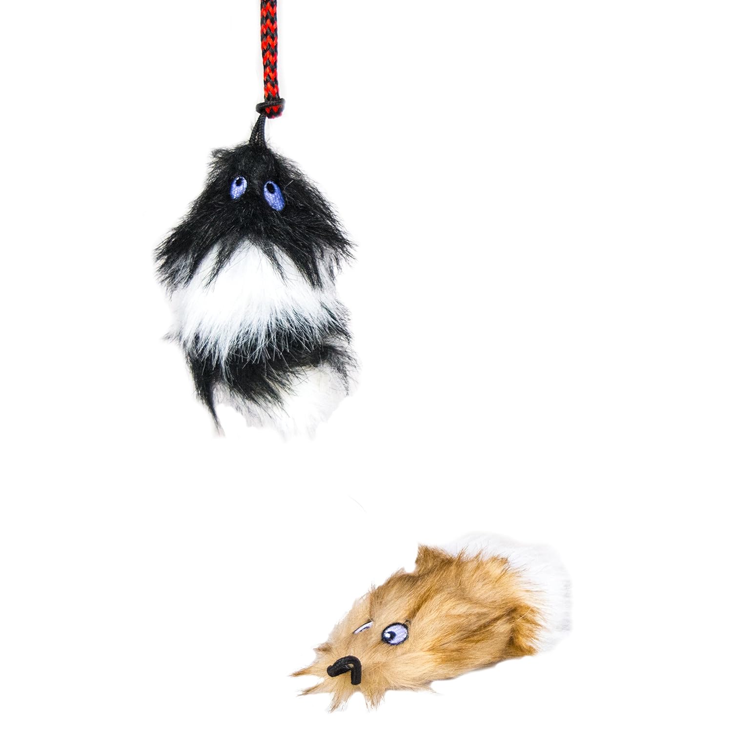 tail teaser dog toy