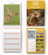 evelay 2026 British Wildlife Wall Calendar Slim Month to View Planner UK view 1