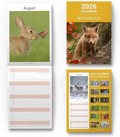 evelay 2026 British Wildlife Wall Calendar Slim Month to View Planner UK