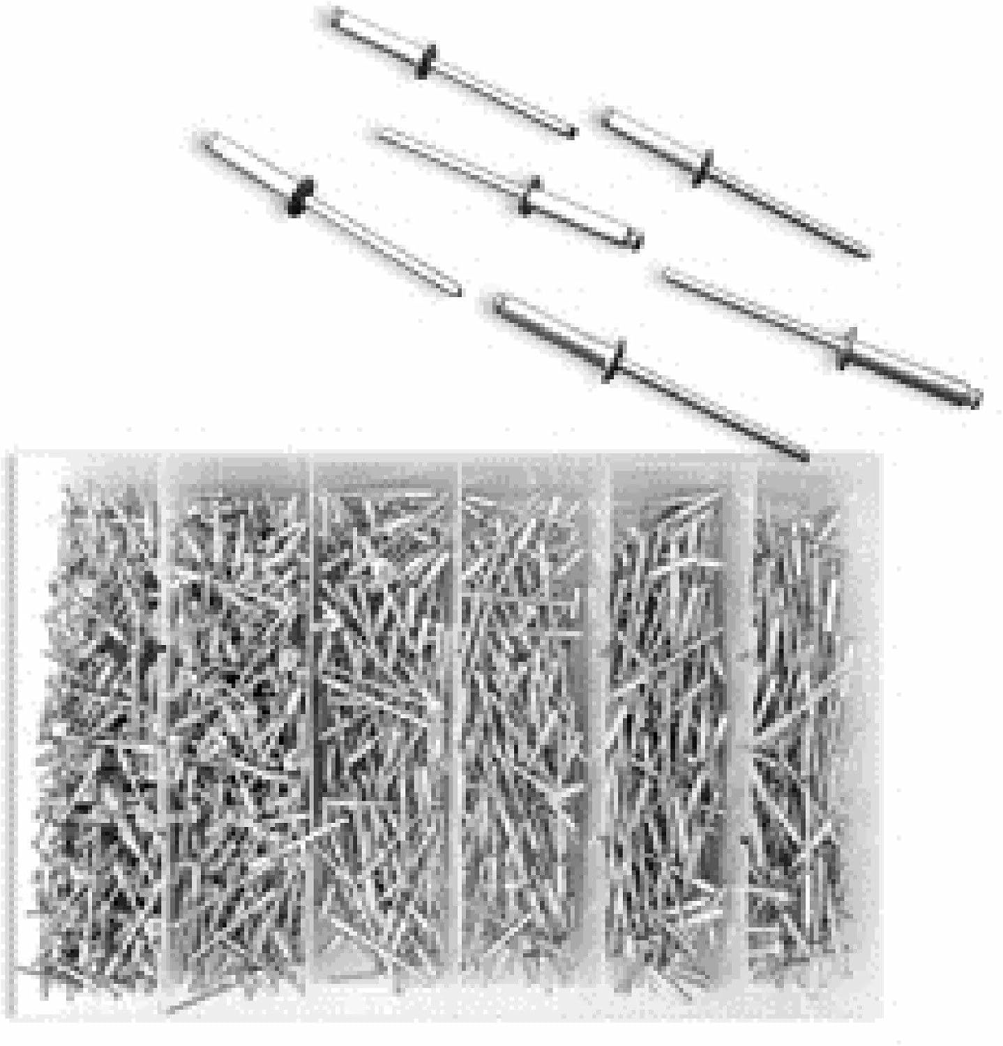 Amazon Com New 1000pc 1 8 Blind Pop Rivet Assortment For Hand Air Riveter W Storage Case Furniture Decor