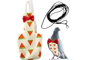 HOMEDY CRAFTS Birds Pigeon Diaper Pants Harness and Leash, Bird Diapers for Pigeons and Leash Harness, Diapers for Birds Cockatiel Parrot, Parakeet Diaper, Pigeon Pants, Parrot Clothes for Bird (XL-Watermelon)