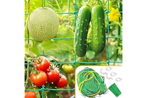IMBSINVNCY Trellis Netting, 9.85x6.6Ft Garden Trellis Netting for Climbing Plants with 20Pcs Plant Clips, Plant Netting for Cucumber, Tomato, 27 Strands & 4x4 IN Mesh, Grow Net for Vine, Fruit,Vegetable,Bean,Pea