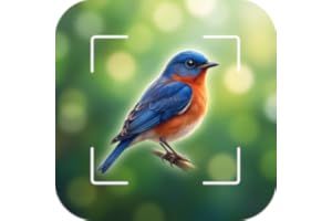 Bird Identifier & Nature Guide: AI Camera ID, Bird Songs, Field Guide, Relaxing Nature Sounds