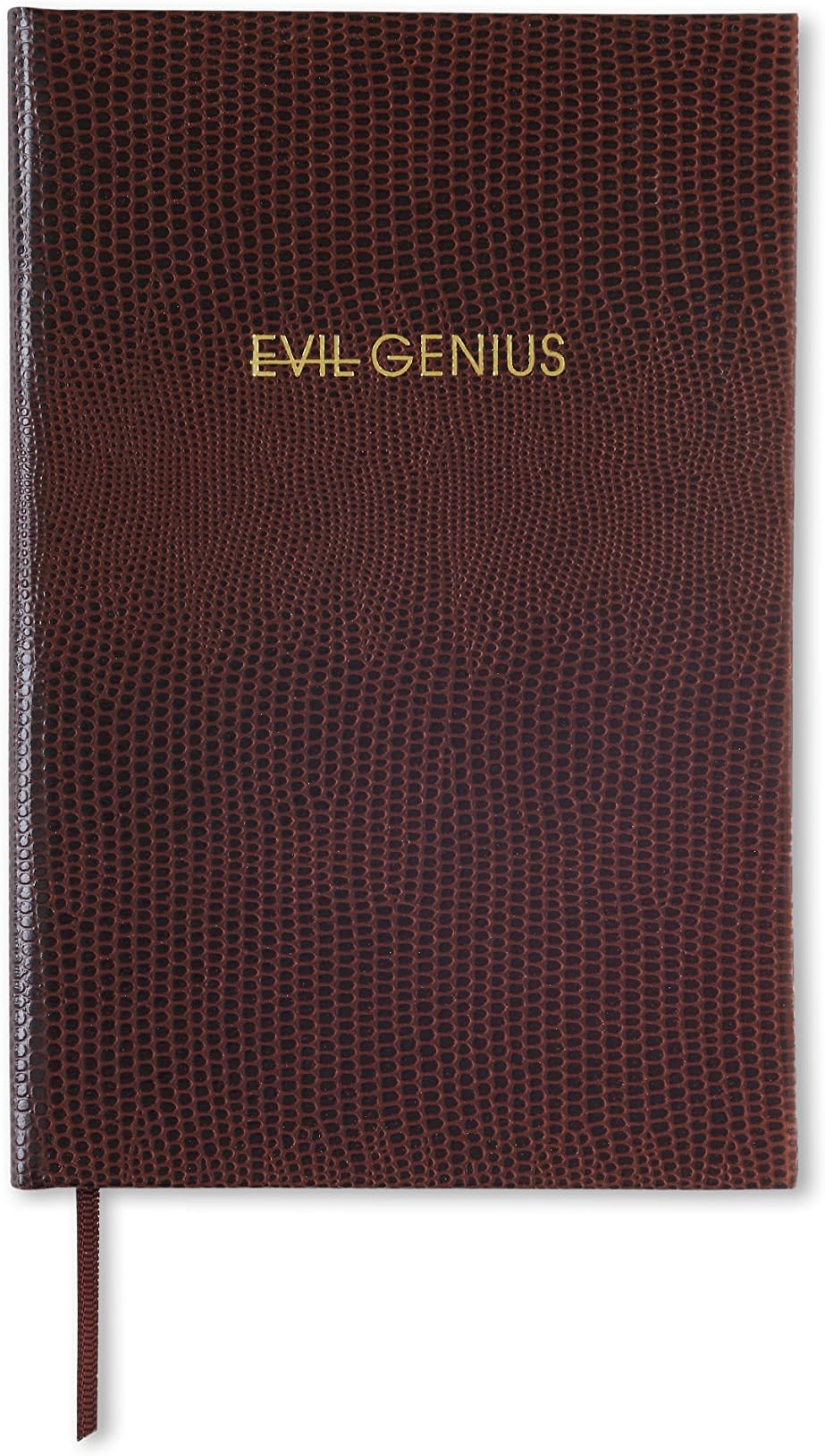EVIL GENIUS - POCKET NOTEBOOK