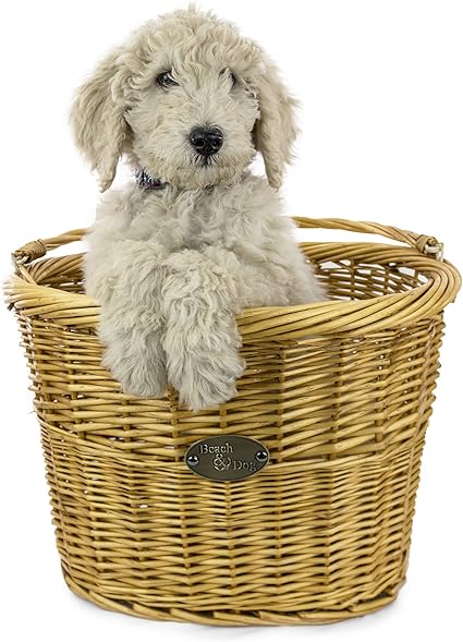 amazon dog basket for bike