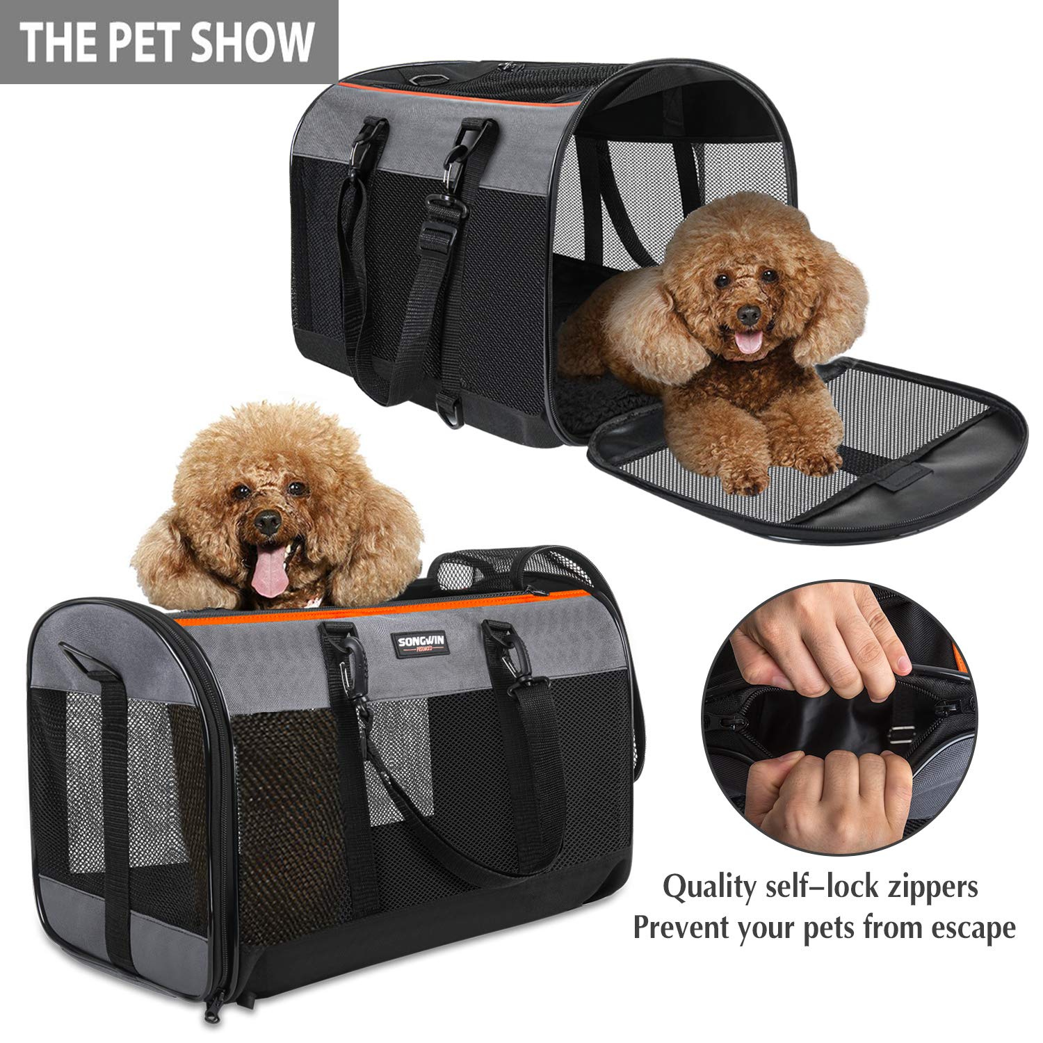 big pet carrier