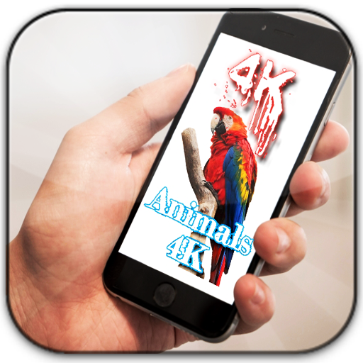 Amazon Com Animals 4k Wallpapers 2020 Appstore For Android