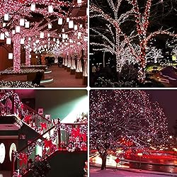 95FT 240 LED Red And White Christmas String Lights