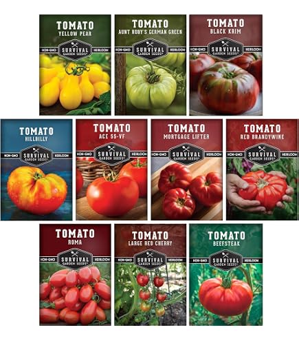 Amazon.com : Heinz 2274 Tomato Seeds (50 Seed Packet)(Non GMO