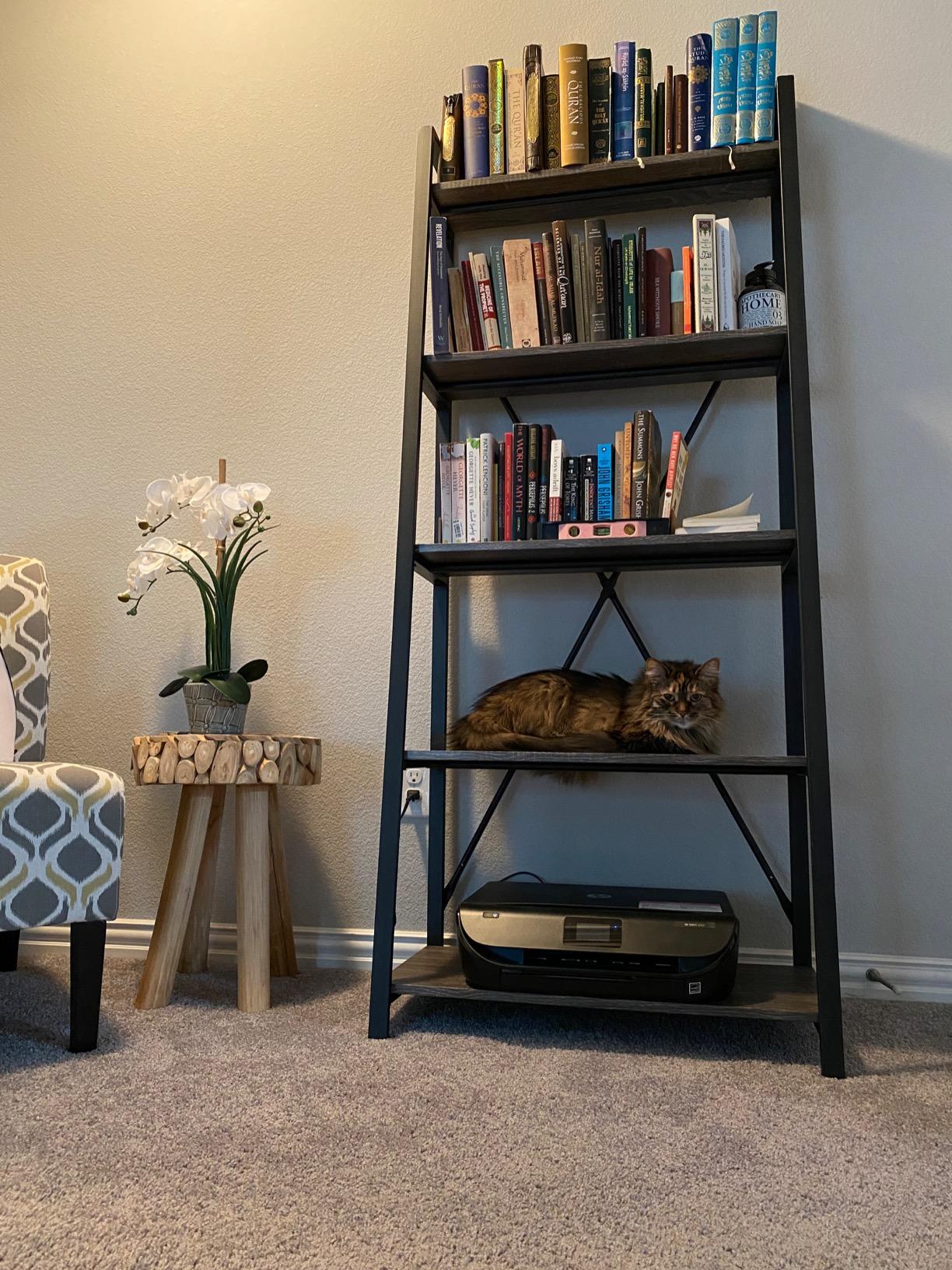 24/mo Finance BON AUGURE Industrial Ladder Shelf, Rustic 5 Tier