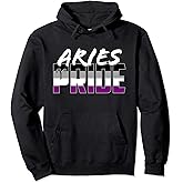 Asexual Aries Pride Flag Zodiac Sign Pullover Hoodie