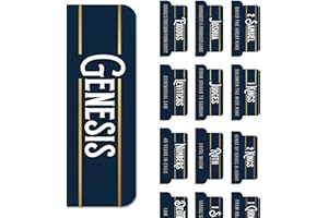 Manly Gold™ Bible Tabs for Men – Soul Nourishing Book Summaries – 66 Peel-and-Stick Large Print Laminated Bible Book Tabs | Bible Study Supplies, Mens Bible Tabs Blue, the Shepherd of Life